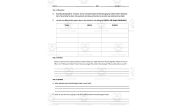 Photo Analysis Sheet