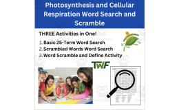 Photosynthesis & Cellular Respiration Word Search & Scramble Activity