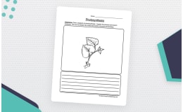 Photosynthesis Diagram Worksheet