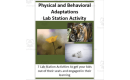 Physical and Behavioral Adaptations – Lab Station Activity