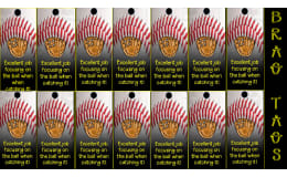 Physical Education Brag Tags: Catching