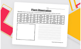 Plant Observation Worksheet