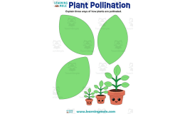 Plant Pollination Activity