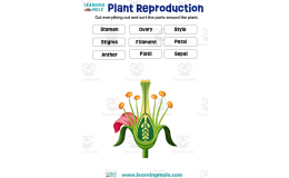 Plant Reproduction Activity