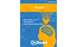 Plants | Academic Workbook