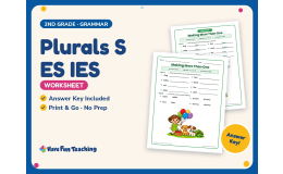 Plurals S ES IES Worksheet – 2nd Grade Plural Nouns Practice