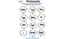 Pronouns Activity