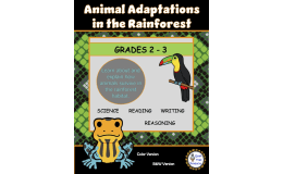 Rainforest Animal Adaptations Worksheets