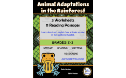 Rainforest Animals Adaptations and Habitat Worksheets