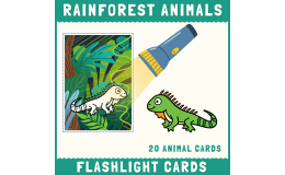 Rainforest Habitat animals flashlight cards hidden picture activity