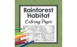 Rainforest Habitat Coloring Pages | Line Art Templates | Biome Art Project | Jungle