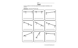 Rays Worksheet