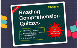 Reading Comprehension Quizzes for Grade 5