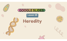 Reading Passage 25: Heredity (Google Slides)