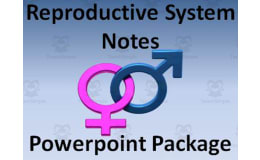 Reproductive System PowerPoint Presentations