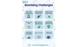 Rewilding Activity