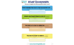 River Ecosystem Activity