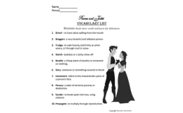 Romeo and Juliet Vocabulary words and quiz