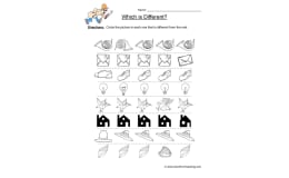 Same Different Items Worksheet