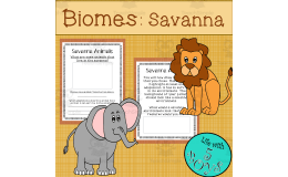 Savanna Biome Activity