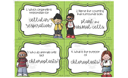 Science Cumulative Review Task Cards