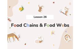 Science Reading Comprehension Passage: Food Chains and Food Webs PPT