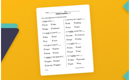 Second Grade Vocabulary Test Practice Worksheet