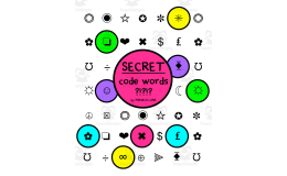 Secret Code Words