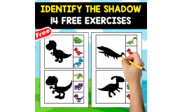 SELECT THE SHADOW | 14 FREE FLASHCARDS