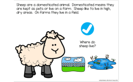 Sheep Life Cycle Adapted Book