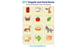 Singular and Plural Nouns Activity