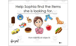 Sort/Group Non-Identical objects - early learner activity