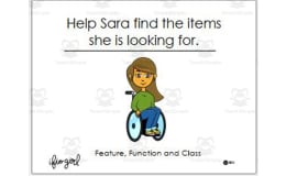 Sorting activity - by Feature Function and Classification