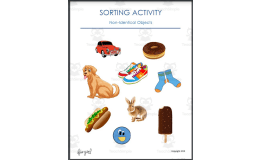 Sorting non- identical objects - Large Pictures