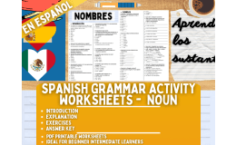 Spanish Grammar Activity Worksheets - Nouns - Spanish Only