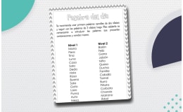 Spanish Morning Work - Wipe and Write