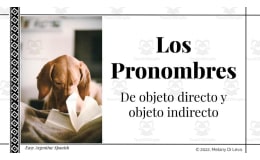 Spanish: Pronouns Digital Lesson - Los Pronombres