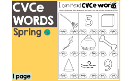 Spring CVCe Words