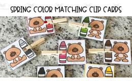 Spring Matching Color ClipCards for Toddlers, Pre-k, Special Education