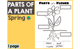 Spring - Parts of a Plant
