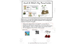 St. Patrick's Day Themed Centers