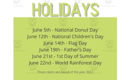 Summer Insect Theme Calendar Pieces