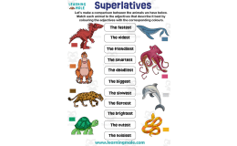 Superlatives Activity