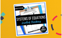 Systems of Equations - Leveled Checking Worksheet