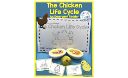 The Chicken Life Cycle - An Emergent Reader