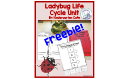 The Ladybug Grows Cut and Paste | Life Cycle of a Ladybug