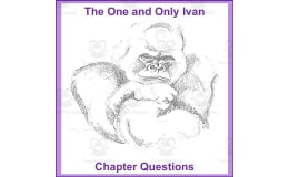 The One and Only Ivan Chapter Questions