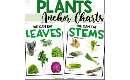Parts of a Plant Anchor Chart – Edible Plants