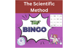 The Scientific Method Science BINGO Activity