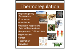 Thermoregulation - Senior Biology lesson